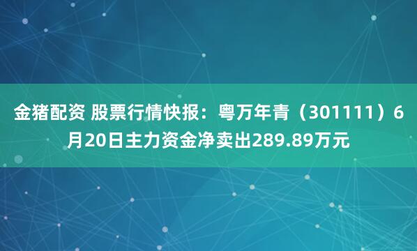 金猪配资 股票行情快报：粤万年青（301111）6月20日主力资金净卖出289.89万元